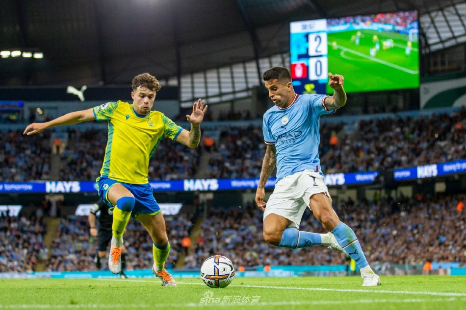 他们凭借出 他们凭借出