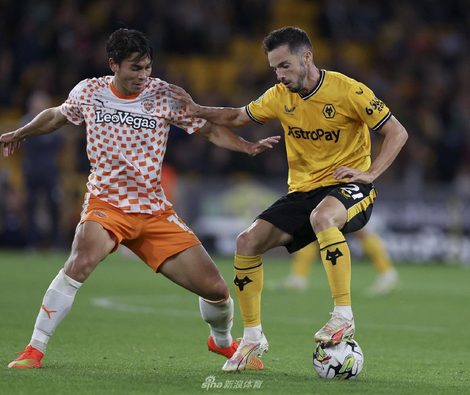 要依靠他们 要依靠他们